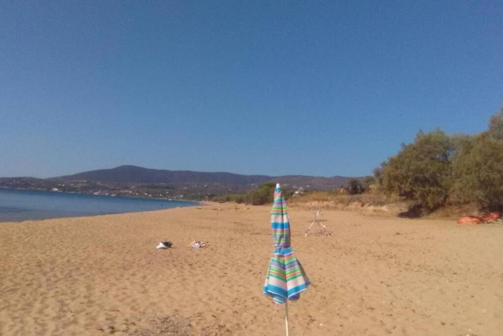Ueber Den Daechern Von Koroni Exteriör bild